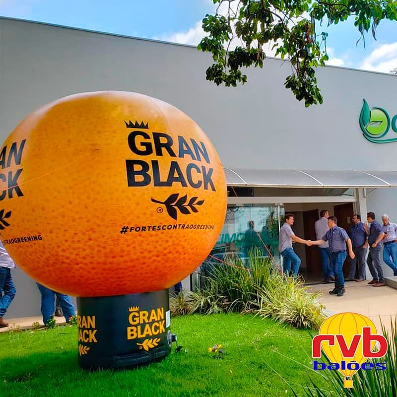o-que-sao-inflaveis-promocionais-Gran-Black