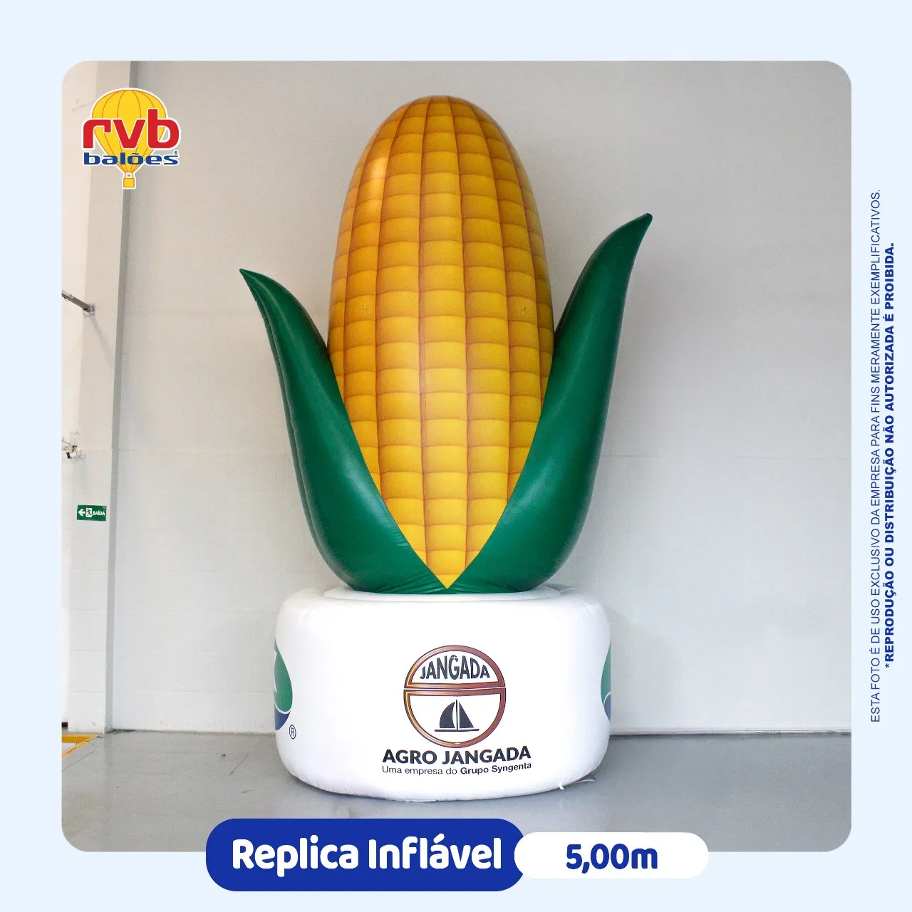 Replica Inflavel Agricultura Agro Jangada