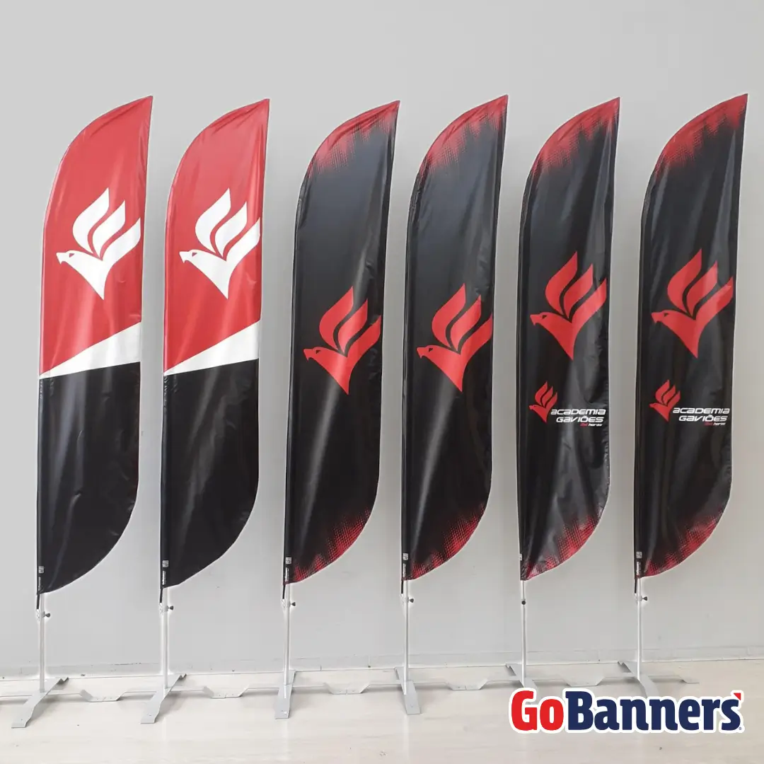 Windbanners Academia Gavioes