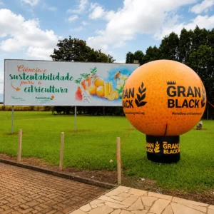 Topball Inflável Personalizado Gran Black para Evento de Entretenimento e Ação Promocional Externa